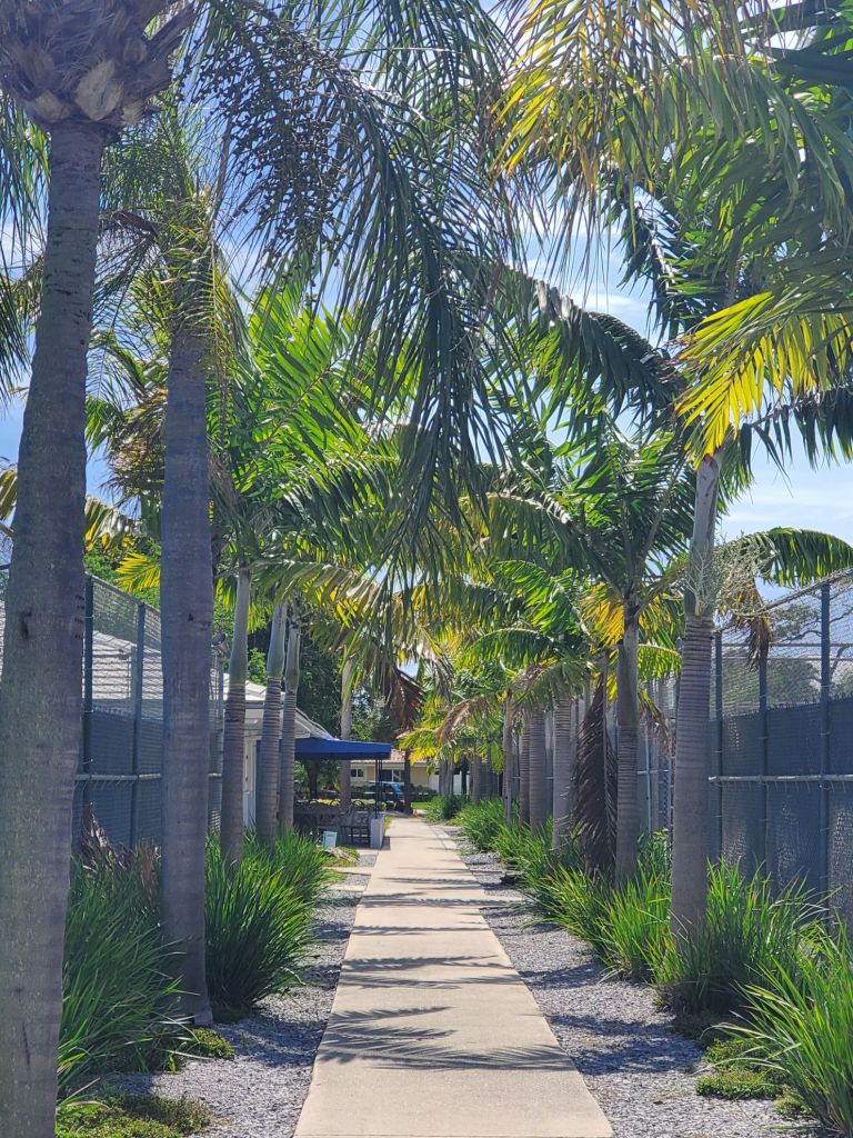 Tropical tennis paradise